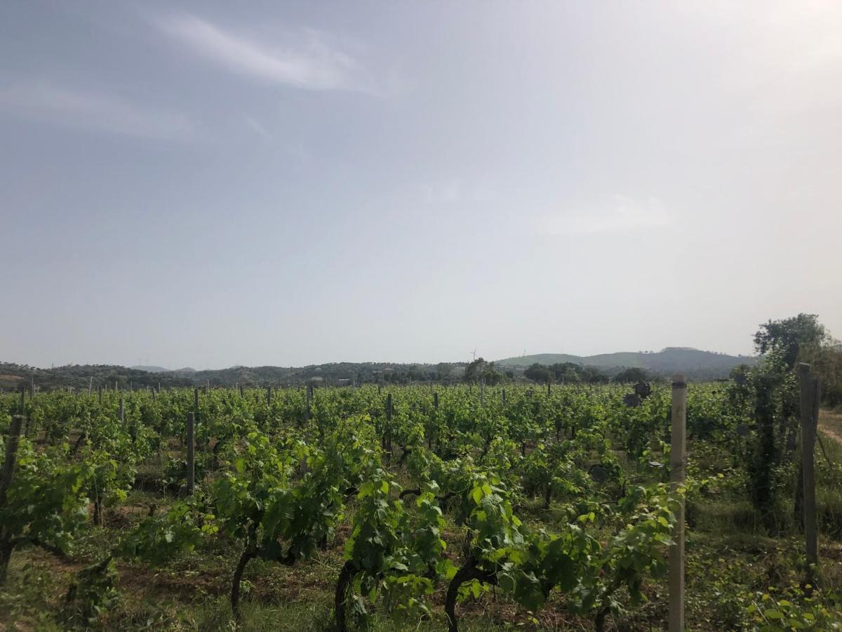 Agriturismo Donna Germana Чиро-Марина Экстерьер фото